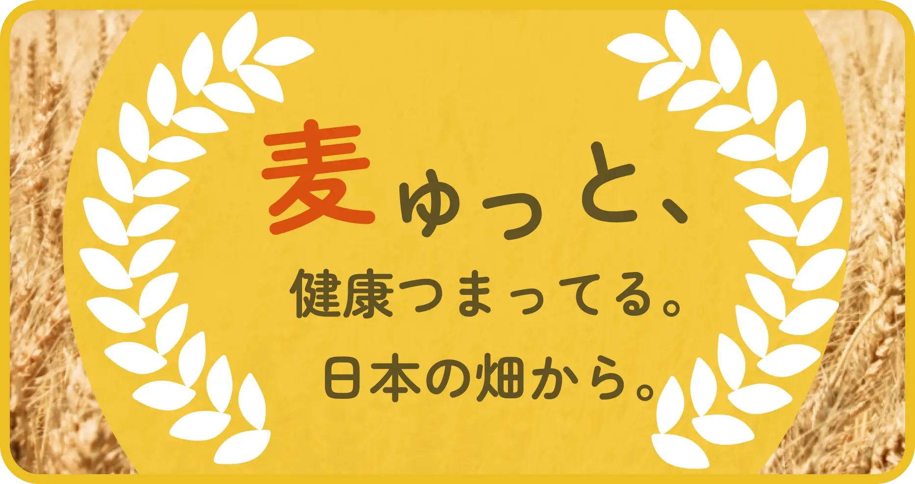 麦ゅっと、健康つまってる。日本の畑から。キャッチコピー画像